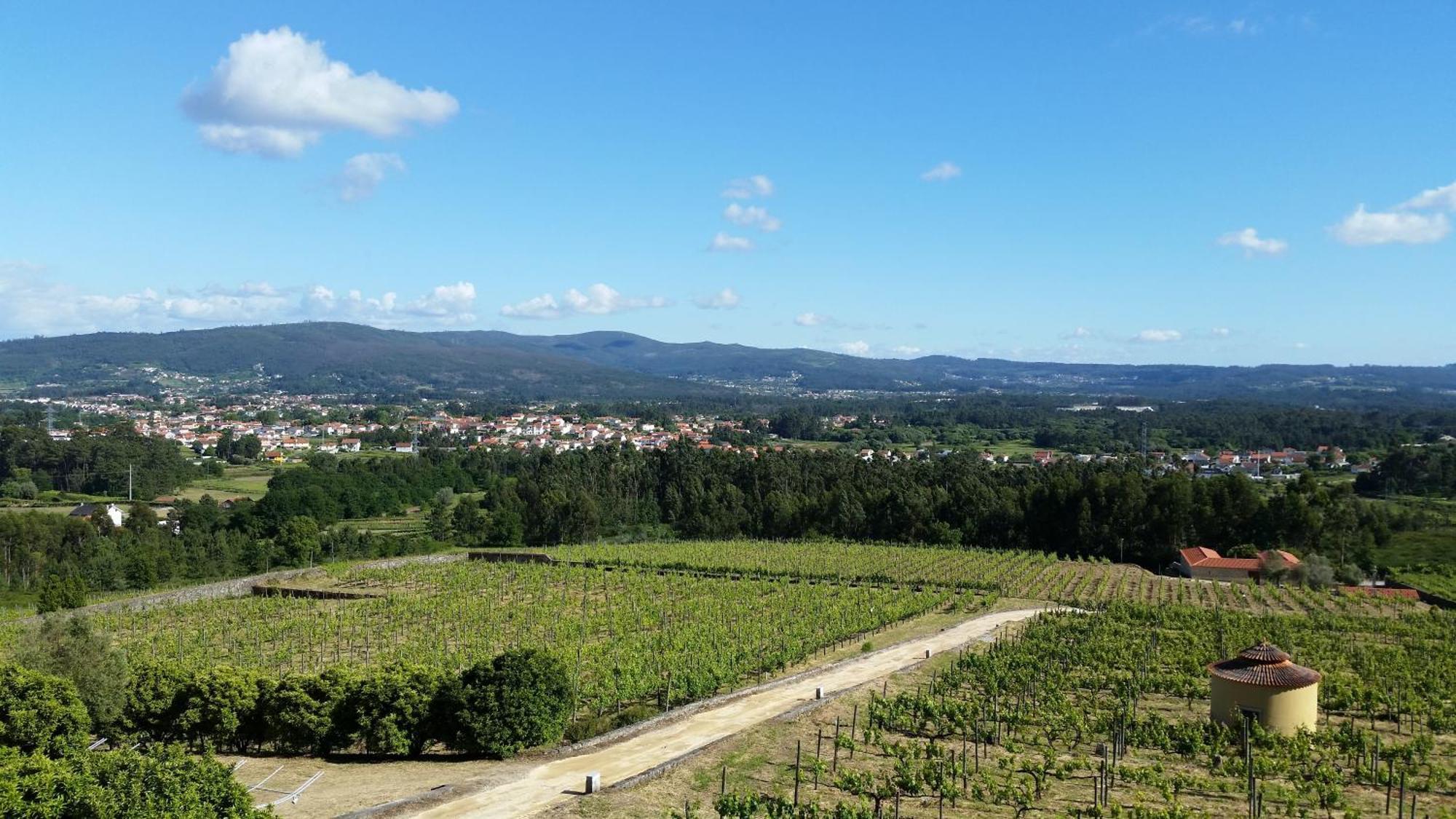 ヴィラ・デ・プーニェ Casas Do Monte De Roquesヴィラ エクステリア 写真