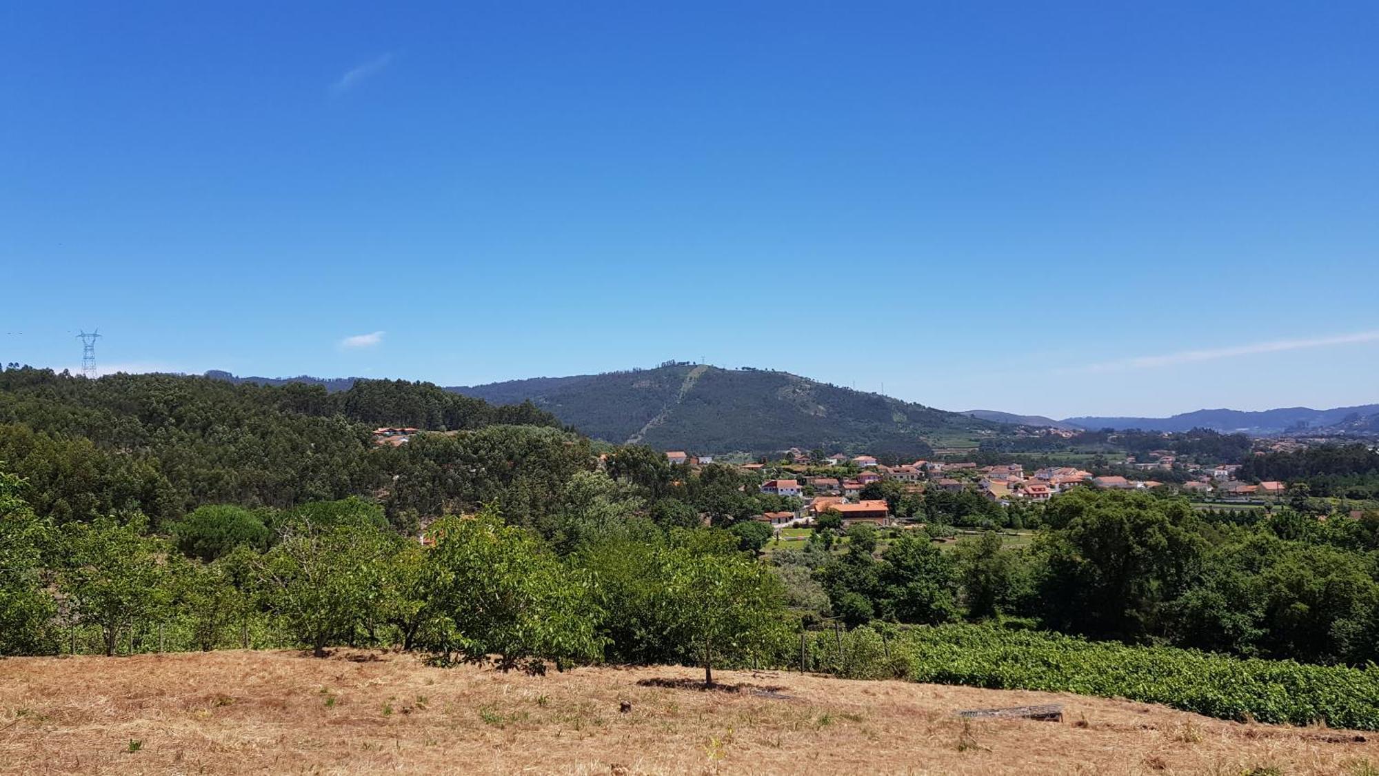 ヴィラ・デ・プーニェ Casas Do Monte De Roquesヴィラ 部屋 写真